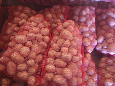 Eladó burgonya Eladó burgonya