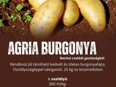 AGRIA és DESIREE burgonya eladó 25 kg-os kiszerelésben családi gazdaságból