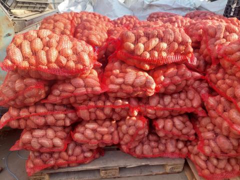 Desire burgonya nagy tételben eladó Jászfényszarun Desire burgonya nagy tételben eladó Jászfényszarun