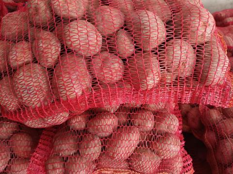 Télálló Bellarosa burgonya eladó termelőtől Télálló Bellarosa burgonya eladó termelőtől