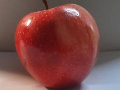 Alma nagy tételben – 20 tonna alma vásárlása Alma nagy tételben – 20 tonna alma vásárlása