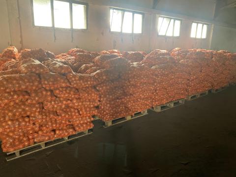 Vöröshagyma Vöröshagyma