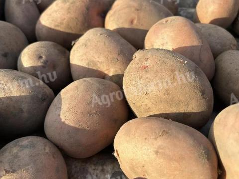 Esmee burgonya eladó Kiskunlacházán, 15 kg-os zsákban Esmee burgonya eladó Kiskunlacházán, 15 kg-os zsákban