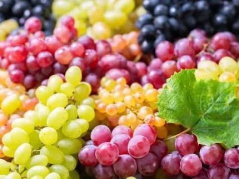 Szőlő eladó Foktőn, Bács-Kiskun megyében Szőlő eladó Foktőn, Bács-Kiskun megyében