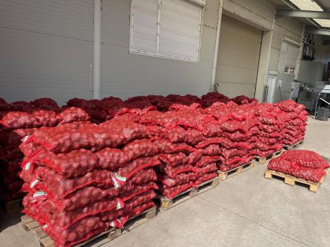 Apró burgonya (vetőméret) és étkezési burgonya eladó Jánossomorján Apró burgonya (vetőméret) és étkezési burgonya eladó Jánossomorján