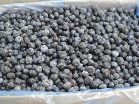 Málna, Áfonya, Ribizli, Eper Málna, Áfonya, Ribizli, Eper