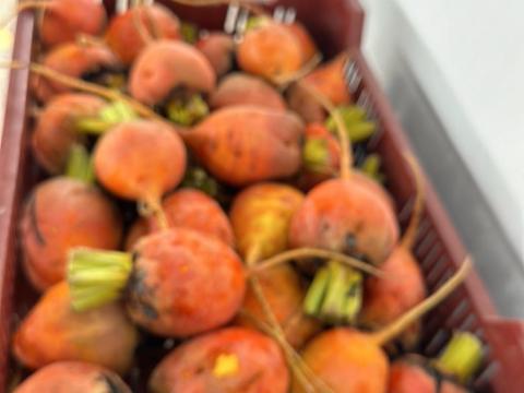 Eladó a termelőtől Eladó a termelőtől