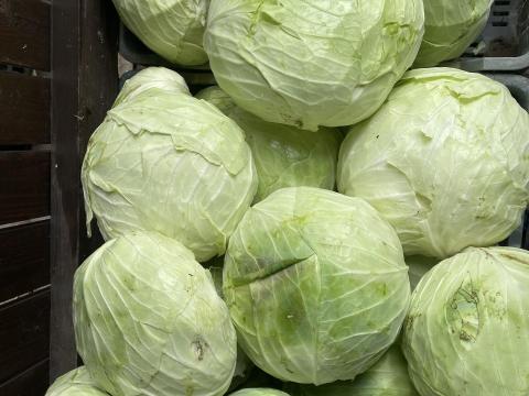 Fejes káposzta és gyalult káposzta eladó Fejes káposzta és gyalult káposzta eladó