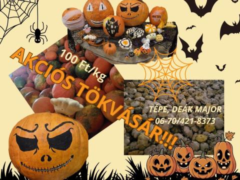 Akciós tök vásár Tépen Akciós tök vásár Tépen