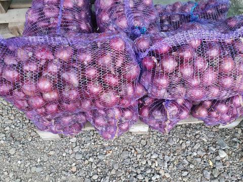 Lilahagyma eladó Lilahagyma eladó