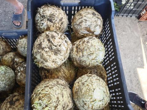 Zeller eladó Zeller eladó