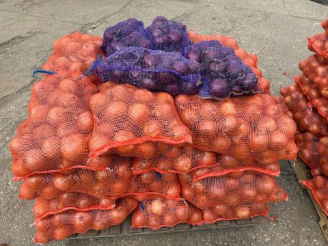 Vöröshagyma nagytétetelben Vöröshagyma nagytétetelben