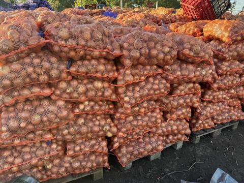 Vöröshagyma eladó Nyíregyházán Vöröshagyma eladó Nyíregyházán