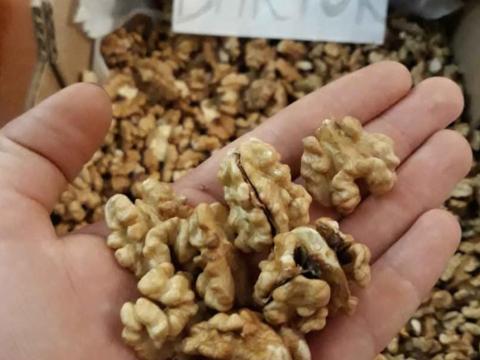 Milotai M10-es héjas dió eladó Milotai M10-es héjas dió eladó