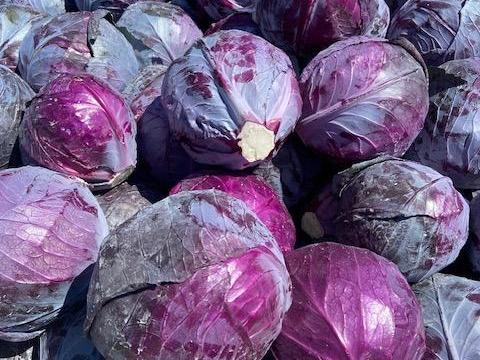 Lila káposzta eladó Lila káposzta eladó