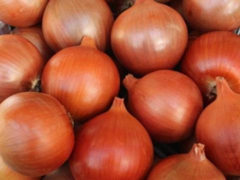 Étkezési vöröshagyma eladó Étkezési vöröshagyma eladó