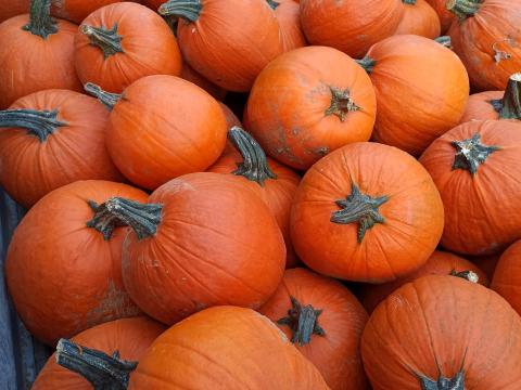 Halloween tök Halloween tök