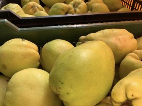 Termelői Birs Termelői Birs