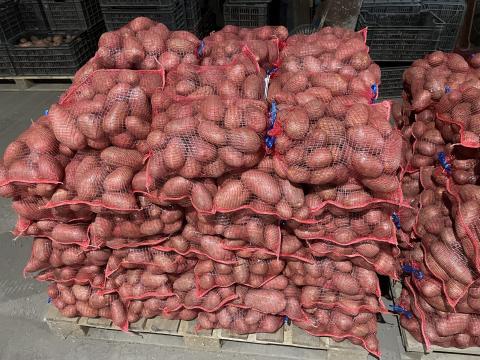 Eladó Esmee étkezési burgonya – kiváló minőség többféle kiszerelésben Eladó Esmee étkezési burgonya – kiváló minőség többféle kiszerelésben