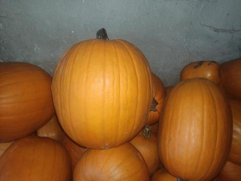 Faragni való Halloween tök