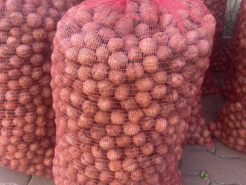 Milotai héjas dió eladó Szabolcs megyében