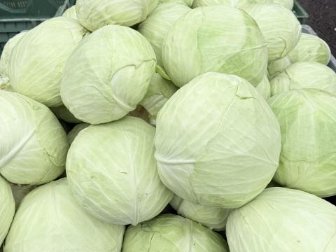 Fejes és gyalult káposzta eladó Fejes és gyalult káposzta eladó