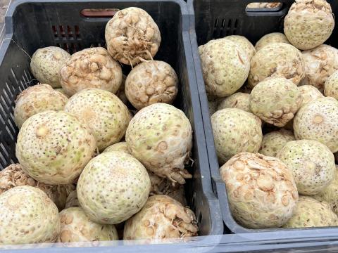 Zeller eladó Zeller eladó