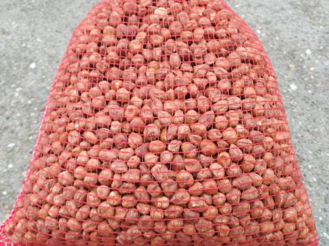 Török mogyoróbèl Török mogyoróbèl