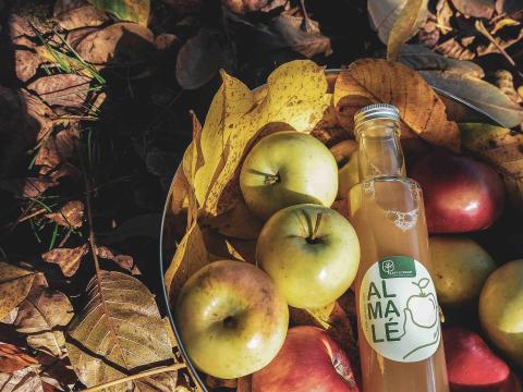 Gyümölcslé (alma és birs) eladó Gyümölcslé (alma és birs) eladó