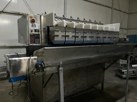 Newtec H2009XB többfejes mérleg – Precíziós csomagológép zöldségekhez és gyümölcsökhöz