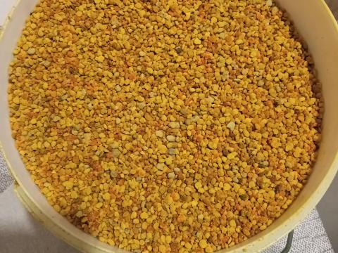 Virágpor eladó Virágpor eladó