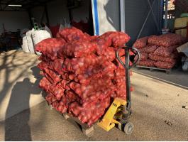 Étkezési burgonya Balatoni rózsa