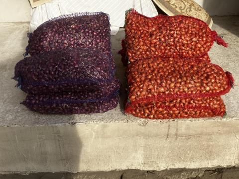 Dughagyma eladó - Makói és lilahagyma