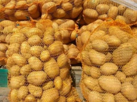 Sárga étkezési burgonya 15 kg zsákokban