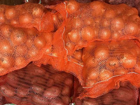 Bellarosa burgonya eladó