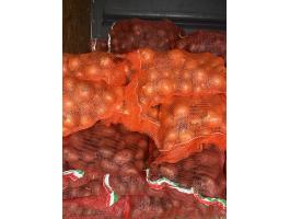 Bellarosa burgonya eladó