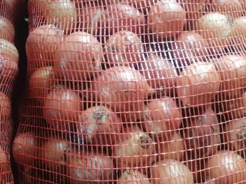 Apró vöröshagyma Akció Apró vöröshagyma Akció