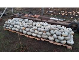 Nagydobosi sütőtök eladó