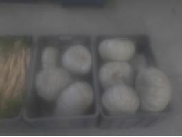 Nagydobosi sütőtök eladó