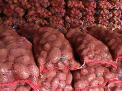 Eladó friss burgonya – Desiree és Balatoni rózsa