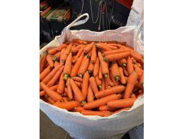 Sárgarépa konyhás eladó Mórahalmon