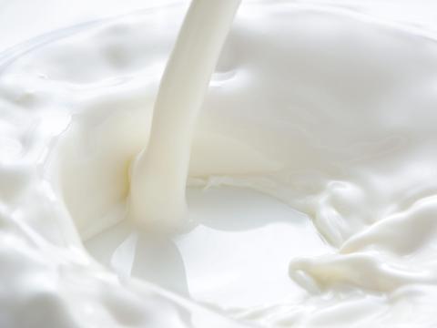 Termelői nyerstej Pest megyében, 3,72% zsírtartalommal