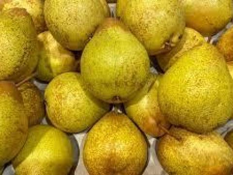 Körte,  lének való eladó