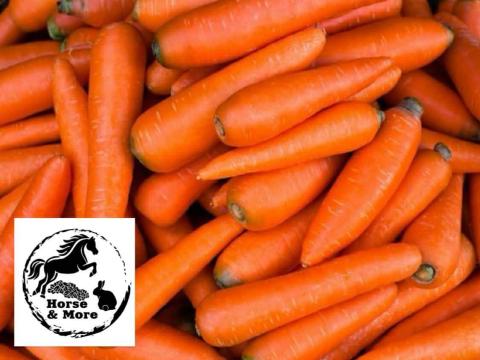 Takarmány sárgarépa rendelhető