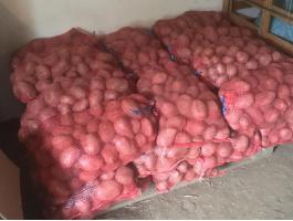 Balatoni rózsa burgonya