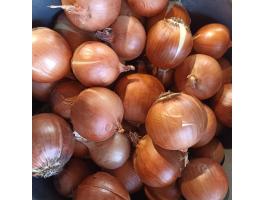 Vöröshagyma eladó