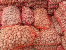 Burgonya ipari eladó