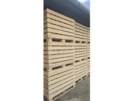 Vöröshagyma eladó kedvező áron