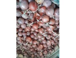Vöröshagyma eladó termelőtől, igény szerinti kiszerelésben