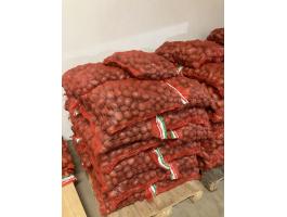 Desire vetőméretű burgonya